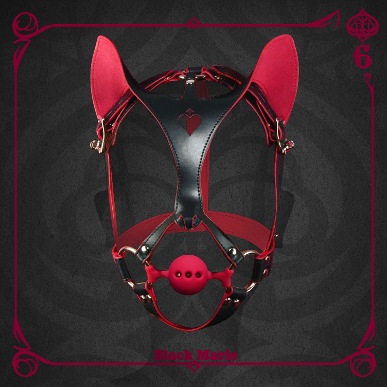 Leather Canine Cat Mask with Silicone Ball Gag and Ears Hood
